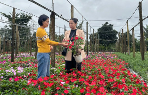 Cùng 9X làm kinh tế hợp tác xã