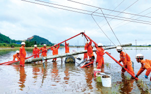 Công ty Điện lực Phú Yên đồng hành cùng sự phát...