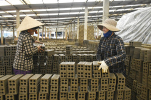 Ngân hàng góp phần phát triển kinh tế - xã hội địa...