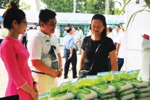 Công ty CP Mía đường Tuy Hòa: Nâng cao năng suất,...
