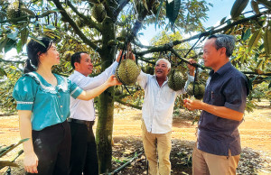 Huy động mọi nguồn lực tập trung phát triển kinh...