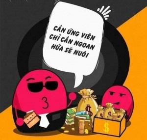 CÔNG TY THIÊN TÚ FN CẦN TUYỂN CỘNG TÁC KINH DOANH...