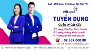 Lương từ 20 - 50 triệu