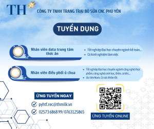 TRANG TRẠI BÒ SỮA TH TẠI SƠN HÒA CẦN TUYỂN