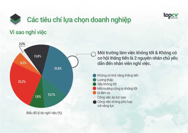 Bao cao thuong nien ve thi truong tuyen dung nhan su tre tu TopCV hinh anh 2