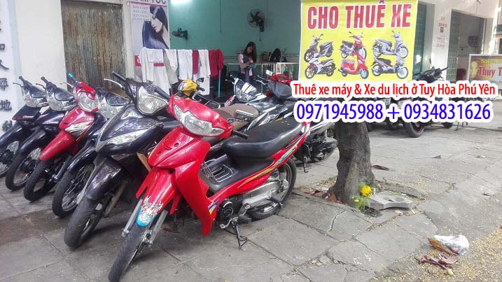 cho thue xe may o tai tuy hoa phu yen 2